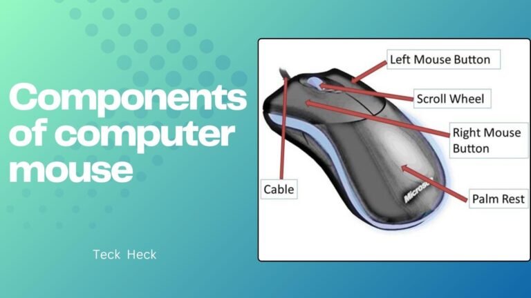Computer Mouse